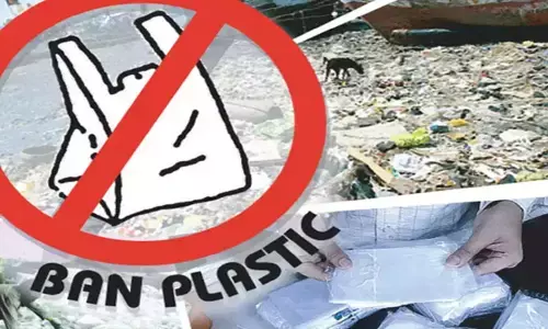 పబ్లిసిటీకే పరిమితమైన ప్లాస్టిక్ నిషేధం