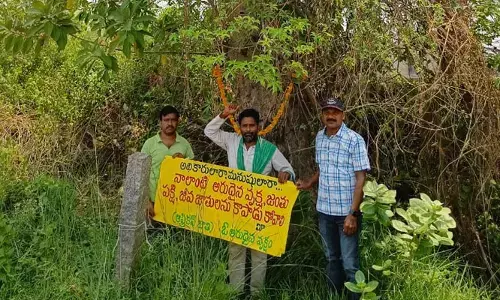 అరుదైన వృక్షానికి పూలమాల వేసి పర్యావరణ ఉద్యమకారుడి వినూత్న పోరాటం