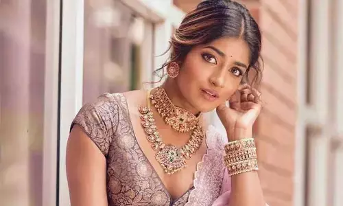 హీరోయిన్ డింపుల్ హయతిపై క్రిమినల్ కేసు..