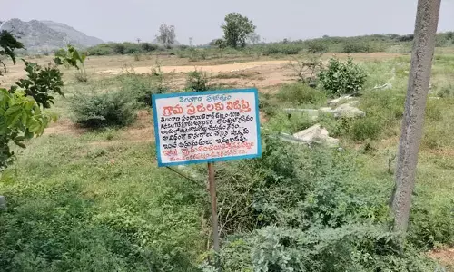 అమాయక ప్రజలను మోసం చేస్తున్న రియల్టర్లు..