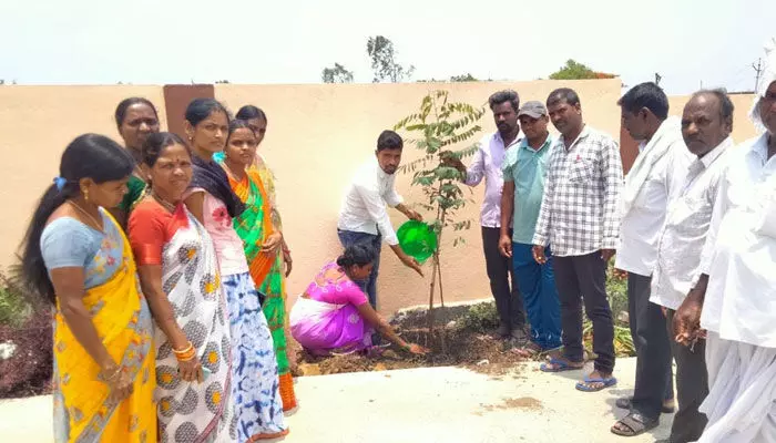 కలెక్టర్ జన్మదినాన్ని పురస్కరించుకుని మొక్కలు నాటిన పంచాయతి సెక్రటరీ.. కలెక్టర్ జన్మదినాన్ని పురస్కరించుకుని మొక్కలు నాటిన పంచాయతి సెక్రటరీ..