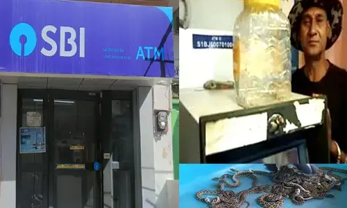 SBI ATM నుంచి డబ్బులకు బదులు పాము పిల్లలు.. భయాందోళనలో కస్టమర్స్