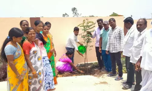 కలెక్టర్ జన్మదినాన్ని పురస్కరించుకుని మొక్కలు నాటిన పంచాయతి సెక్రటరీ..