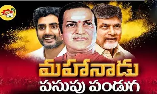 Vemagiri: రేపే టీడీపీ మహానాడు.. చంద్రబాబు ప్రసంగంపైనే అందరి దృష్టి