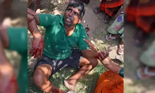 వ్యక్తిపై ఎలుగుబంటి దాడి
