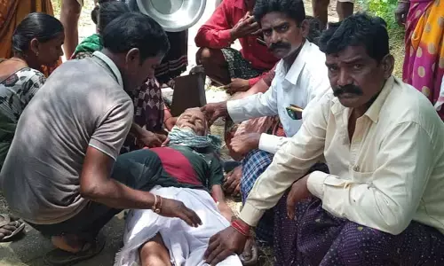 వడదెబ్బతో ఉపాధి హామీ కూలీ మృతి..