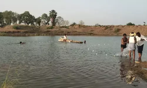 నదిలో పడి గొర్రెల కాపరి మృతి