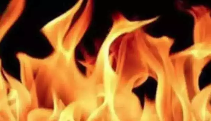 Nellore: బాణాసంచా కేంద్రంలో అగ్నిప్రమాదం.. ఇద్దరికి సీరియస్ Nellore: బాణాసంచా కేంద్రంలో అగ్నిప్రమాదం.. ఇద్దరికి సీరియస్