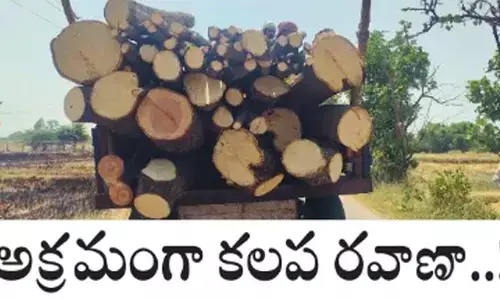 దుబ్బాక మండలంలో అక్రమంగా కలప రవాణా..!