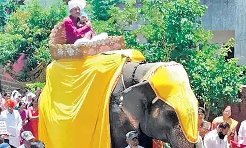 ఆడపిల్ల పుట్టిందని అంబారీపై ఊరేగింపు