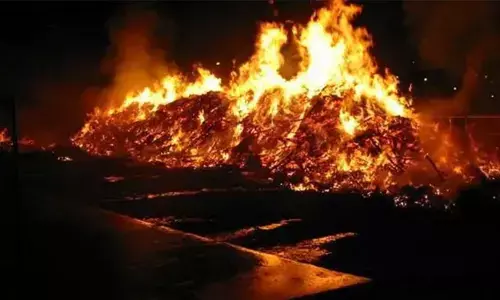 స్నేహం కోసం... ఎంత పని చేశాడంటే...
