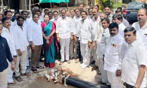 అభివృద్ధి పనులు ప్రారంభించిన ఎమ్మెల్యే సుభాష్ రెడ్డి..