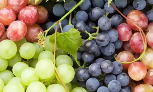 Grapes: ద్రాక్షపండ్లతో ఈ వ్యాధులను తగ్గించుకోవచ్చని మీకు తెలుసా?