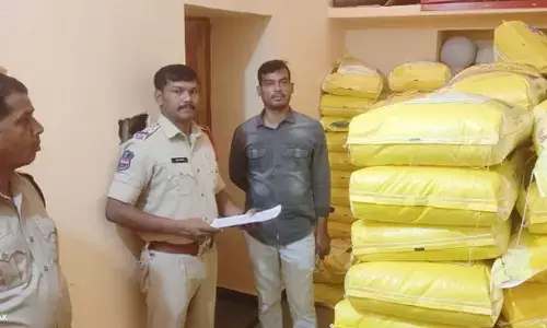 సోయాబీన్ విత్తన బస్తాలు సీజ్