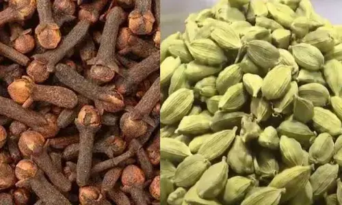 Guntur: రూ.10 లక్షల విలువైన సుగంధ ద్రవ్యాలు కొట్టేశారు..
