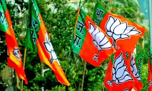 ఎన్నికల వేళ సంక్షోభానికి రీజనేంటి.. బీజేపీ హైకమాండ్ సీరియస్ ఫోకస్