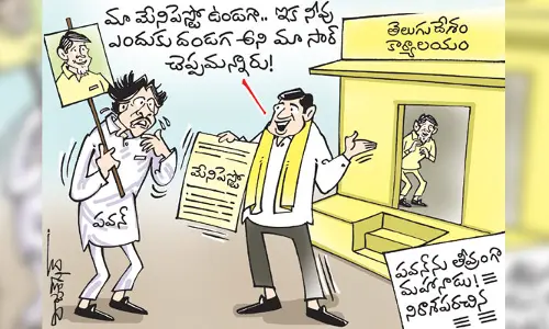 పవన్ కల్యాణ్, టీడీపీ కార్టూన్ (30-5-2023)