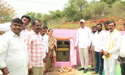 పక్కరాష్ట్రాల్లో ఏడుగంటలు, తెలంగాణలో 24 గంటల ఉచిత కరెంటు.. మంత్రి హరీష్ రావు