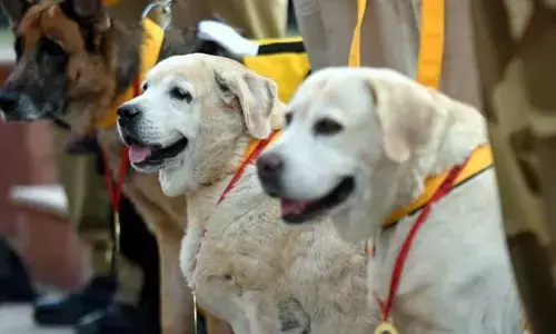 ఘనంగా CISF జాగిలాల రిటైర్మెంట్ వేడుక (వీడియో)