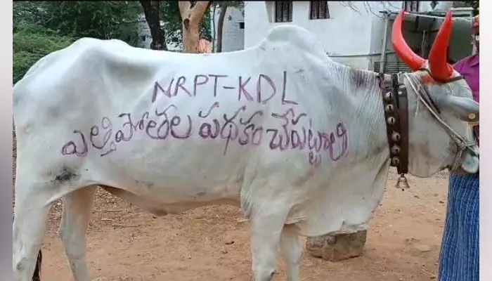 నారాయణపేట-కొడంగల్ ఎత్తిపోతల పథకాన్ని చేపట్టాలని వినూత్న నిరసన.. నారాయణపేట-కొడంగల్ ఎత్తిపోతల పథకాన్ని చేపట్టాలని వినూత్న నిరసన..