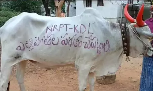 నారాయణపేట-కొడంగల్ ఎత్తిపోతల పథకాన్ని చేపట్టాలని వినూత్న నిరసన..