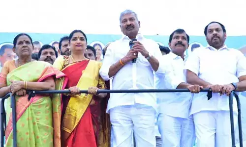 చంద్రబాబుకు ఆ దమ్ము లేదు.. అందుకే ఢిల్లీ వెళ్లారు: మంత్రి పెద్దిరెడ్డి