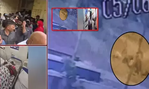 Guntur: డ్రైవర్ నిర్లక్ష్యం.. ఏడుగురు దుర్మరణం