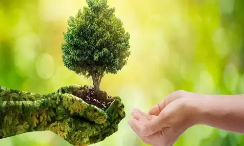 ‘ఏడాదిలో కనీసం ఒక్క మొక్క అయినా నాటుదాం’