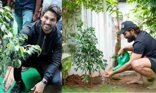 పర్యావరణాన్ని కాపాడండి.. ఫ్యాన్స్‌కు అల్లు అర్జున్ విన్నపం