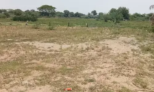 వెంచర్ నిర్మాణంలో అంతా అక్రమమే..