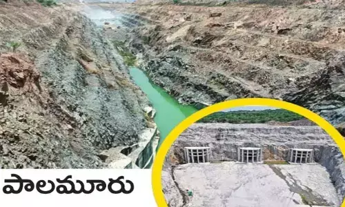 పాలమూరు పనులు ఐతనేలేవు