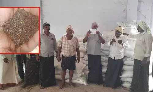 తెలంగాణ రాష్ట్ర విత్తనాభివృద్ధి సంస్థకు నకిలీ మకిలీ