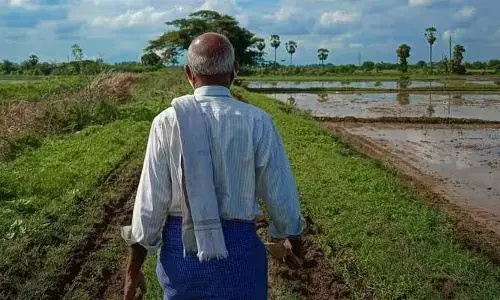 Ap News: రాత్రికి రాత్రే కోటీశ్వరుడైన రైతు.. ఎలాగో తెలుసా?