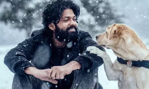 టీవీలోకి వచ్చేస్తున్న ‘777 Charlie’.. ఎప్పుడు? ఎందులో?