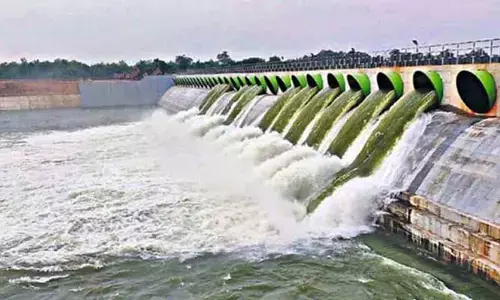 సూర్యాపేట జిల్లాలో వినూత్నంగా సాగునీటి దినోత్సవం.. లక్ష మందితో..