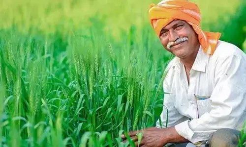 రుణమాఫీ గైడ్ లైన్స్ రిలీజ్.. రూ.2 లక్షలకు పైగా లోన్ ఉన్న రైతులు ఏం చేయాలంటే..?
