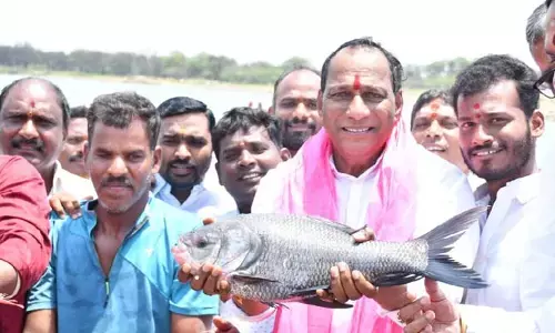 కేసీఆర్ సాగు, తాగు నీటి గోసలు తీర్చిండు: మంత్రి మల్లారెడ్డి