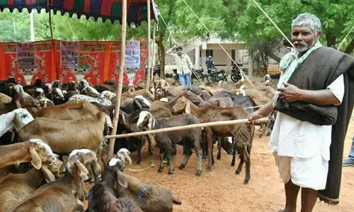 సంతలో ప్రైవేట్ వ్యక్తులు వసూల్ దందా..