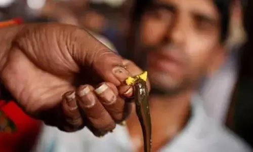 జూన్ 8న చేప ప్రసాదం పంపిణీ