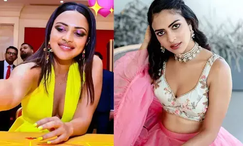 ఛీ ఛీ.. డబ్బు కోసం మరీ ఇంతలా బరితెగించాలా.. అమలాపాల్‌పై నెటిజన్స్ ఫైర్ (వీడియో)