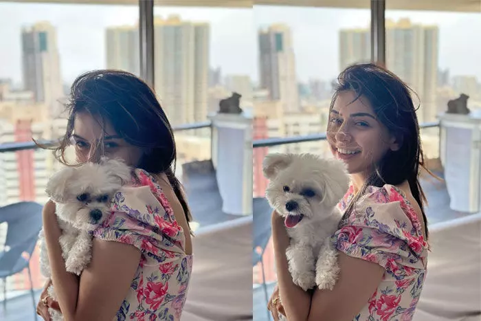 సౌత్ హీరోయిన్ అని నాకు డ్రెస్లు ఇవ్వకుండా అవమానించారు : Hansika Motwani సౌత్ హీరోయిన్ అని నాకు డ్రెస్లు ఇవ్వకుండా అవమానించారు : Hansika Motwani