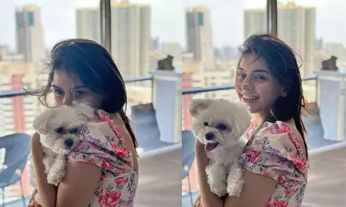 సౌత్ హీరోయిన్ అని నాకు డ్రెస్‌లు ఇవ్వకుండా అవమానించారు : Hansika Motwani