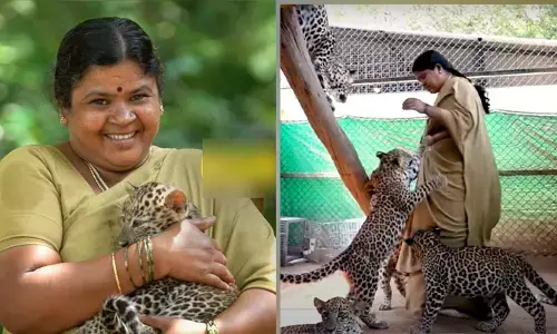 ఆమె ప్రేమకు పెద్ద పులులు సైతం చంటి పిల్లల్లా మారిపోతయ్
