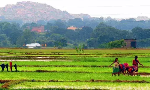పోడు రైతుల గోసకు పరిష్కారమేదీ!?