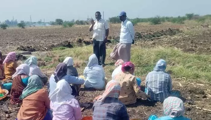 Kurnool: ఉపాధి పనులల్లో రాజకీయ జోక్యం తగదు Kurnool: ఉపాధి పనులల్లో రాజకీయ జోక్యం తగదు
