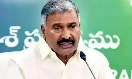 Anantapur: వారితోనే మా పొత్తు.. మంత్రి పెద్దిరెడ్డి సంచలన వ్యాఖ్యలు