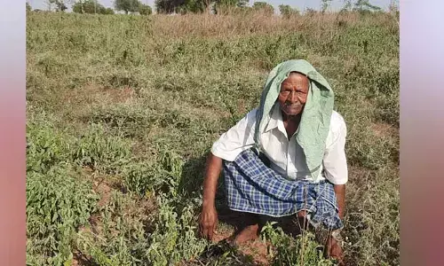 తొలకరి చినుకు కోసం అన్నదాత ఎదురుచూపు..