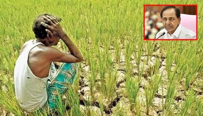 బిగ్ న్యూస్: మరో కీలక హామీకి KCR ఎగనామం.. రోజు రోజుకు రైతుల్లో పెరుగుతోన్న ఆందోళన..! బిగ్ న్యూస్: మరో కీలక హామీకి KCR ఎగనామం.. రోజు రోజుకు రైతుల్లో పెరుగుతోన్న ఆందోళన..!