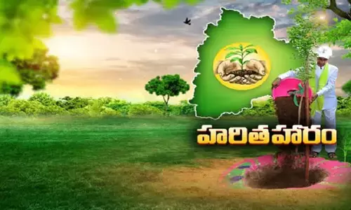రాష్ట్రంలో ‘హరిత’ విధ్వంసం.. అటవీ ధ్వంసంలో దేశంలోనే తెలంగాణ నెం.1