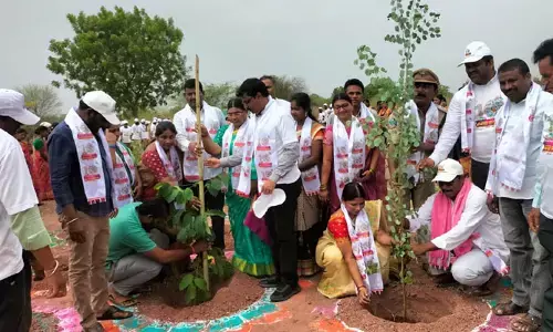 పట్టణ ప్రగతి వేడుకలకు కౌన్సిలర్ల గైర్హాజరు..